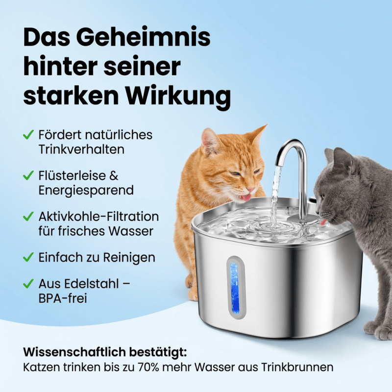 Fontana™ Katzenbrunnen - Homeeiy