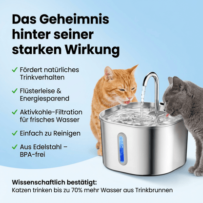 Fontana™ Katzenbrunnen - Homeeiy