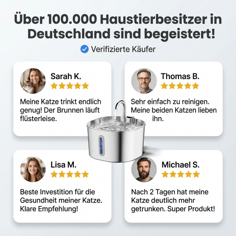Fontana™ Katzenbrunnen - Homeeiy
