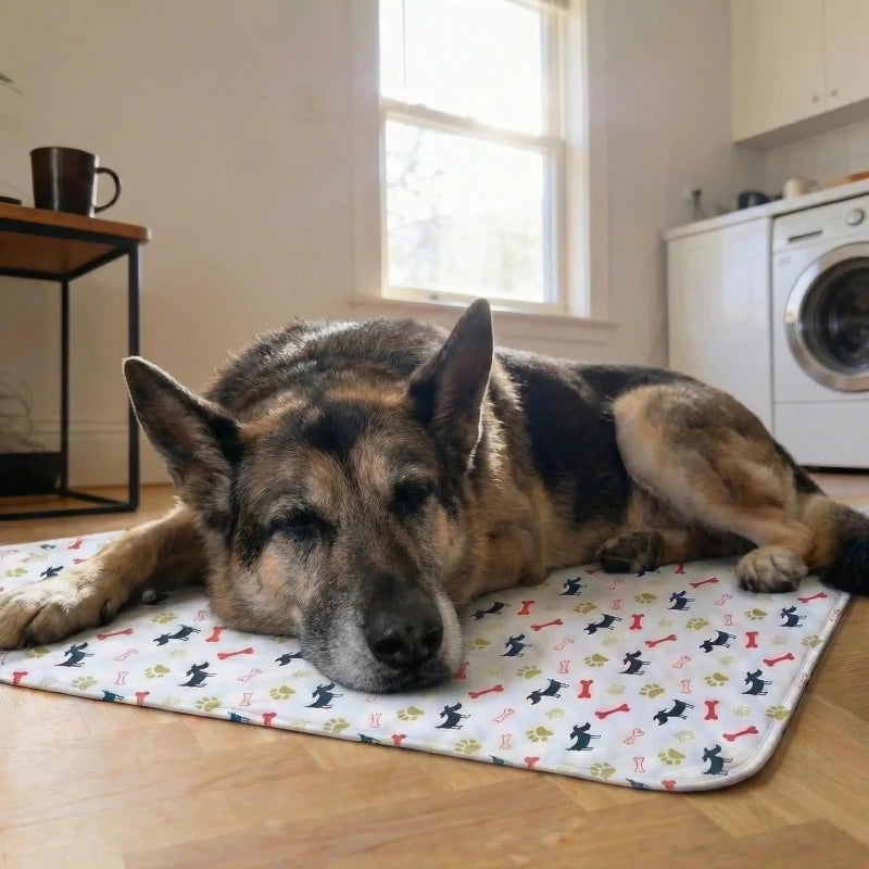 Senior - Schutzmatte - Homeeiy