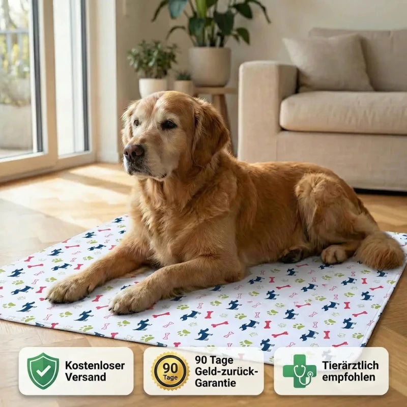 Senior - Schutzmatte - Homeeiy