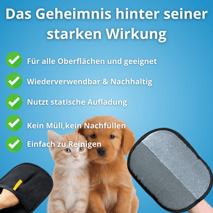 Zauber Handschuh - Homeeiy